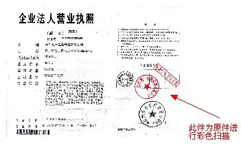 沙湾网站建设 营业执照范本